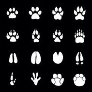 Animals footprints N2