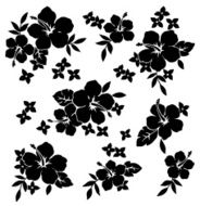picture of Hibiscus N36