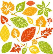 Leaf Collection N5