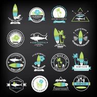 Surfing summer icons vector labels collection