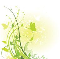 Spring foliage N2
