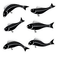 Fishes N16