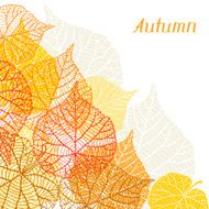 Background greeting card with stylized autumn leaves N2