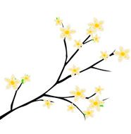 Cherry blossom spring branch with flowers blooming vector illustration