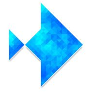 Abstract polygonal fish N21