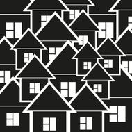 Black and White Houses N2