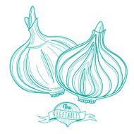 Outline hand drawn sketch of onion (flat style thin line)