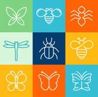Vector insects and bugs N2