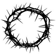 Crown of thorns N8