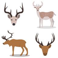 Deer and their head N2