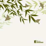 Bamboo forest card N7