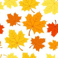 Seamless pattern with autumn maple leaves Vector EPS 8 N2