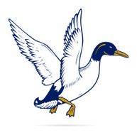 duck flight
