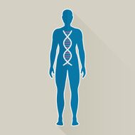 Vector Human DNA