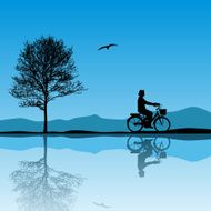 Vector landscape N7