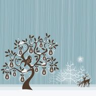 Partridge in a pear tree N4
