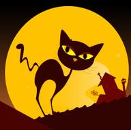 Black cat silhouette and city sunset N2