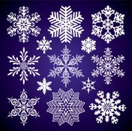 Set of snowflakes N27