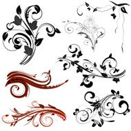 Floral abstract patterns