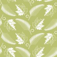 green leaves N14
