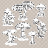 Vector set with mushrooms N3