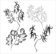 silhouette of the branches decorative shrubbery