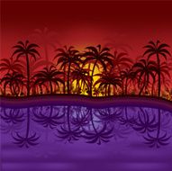 Jungle sunset N2