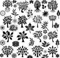 Botanical garden N25