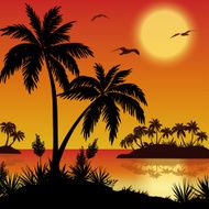 Tropical islands palms flowers and birds N8