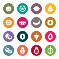 Fruits Icons N17