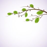 Green branch Seasonal background N3