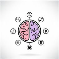 Concept of brain function