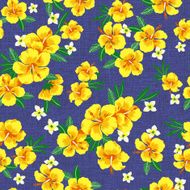 hibiscus repeats N57