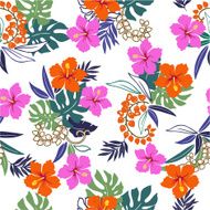hibiscus repeats N58