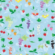 Berries N21