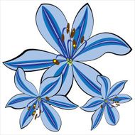 blue vector lily isolated on white background N2