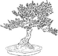 Bonsai Tree N9