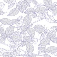 Leafs N34