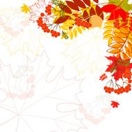 Autumn leaves falling background N4