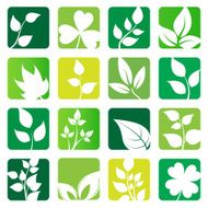 collection of vector leaves icons