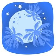 tropical night sky