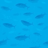 bluefin tunas