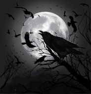 Crows N9