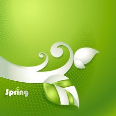 Card with vector stylized leaves N2