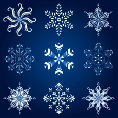 snowflakes set N19