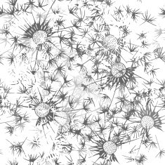 Seamless pattern of dandelion Hand-drawn floral background N4