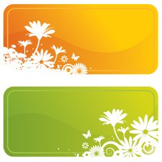 Flower Frames N12