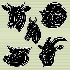collection of heads animals for design
