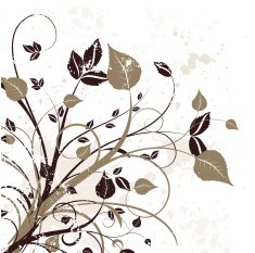 floral grunge N26