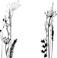 Silhouettes of flowers and grass N78